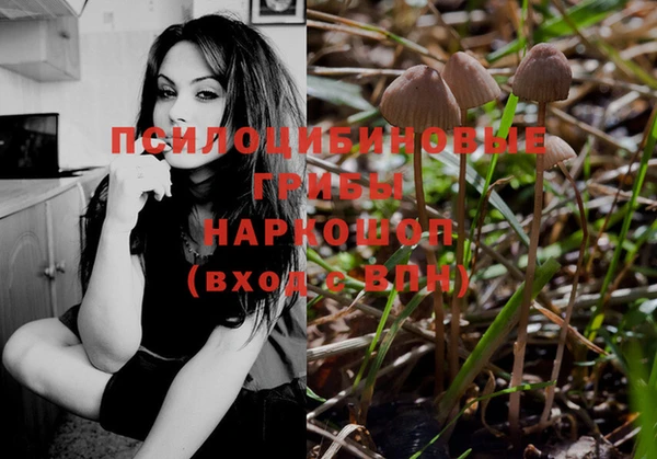 PSILOCYBIN Алексин