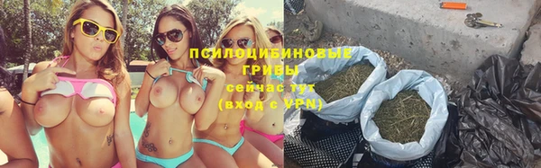 PSILOCYBIN Алексин