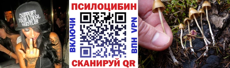 Галлюциногенные грибы мухоморы  хочу наркоту  Сысерть 